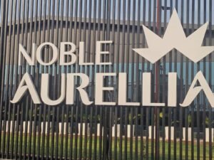 Noble_Aurellia